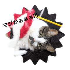 [LINEスタンプ] ちょびっと！