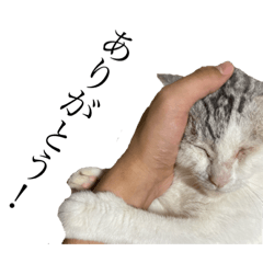 [LINEスタンプ] なつこさまの日常②