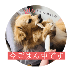 [LINEスタンプ] チワックスのてん②