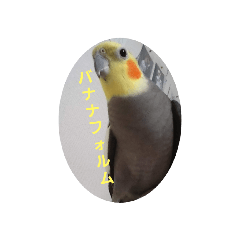 [LINEスタンプ] ぴょこたん2