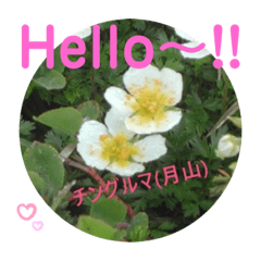 [LINEスタンプ] ろ～こ's