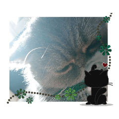 [LINEスタンプ] エキゾチック マロ