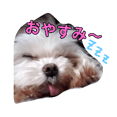 [LINEスタンプ] おブスなしろくま