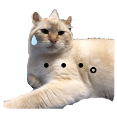[LINEスタンプ] たろちゃん日記 1
