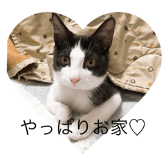 [LINEスタンプ] RIRO1032