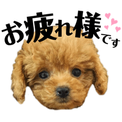 [LINEスタンプ] popokina