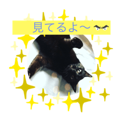 [LINEスタンプ] 暴とポコ
