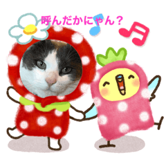 [LINEスタンプ] トキにゃんこスタンプ