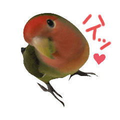 [LINEスタンプ] 我はコザクラなインコなり