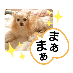 [LINEスタンプ] 愛犬達のスローディズ4