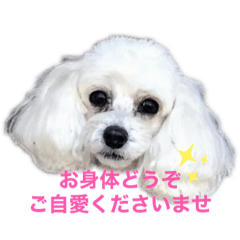 [LINEスタンプ] はなろんスタンプ3