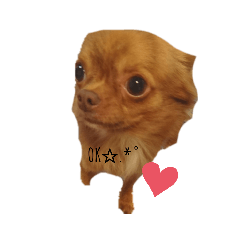[LINEスタンプ] 日常使えるワンコスタンプ