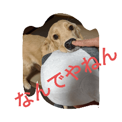 [LINEスタンプ] ひなまつり3