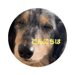 [LINEスタンプ] マーブル君のマイLINEスタンプ