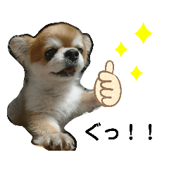 [LINEスタンプ] やまとスタンプ4