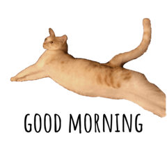 [LINEスタンプ] リッチとミミ
