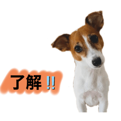 [LINEスタンプ] マーブルの毎日