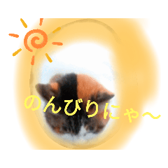 [LINEスタンプ] 三毛ミケスタンプ