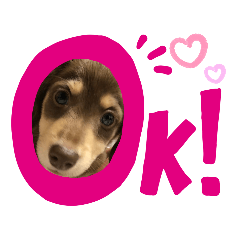 [LINEスタンプ] れおちょこ