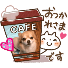 [LINEスタンプ] 沖縄わんこ