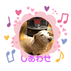 [LINEスタンプ] 村中家の犬2