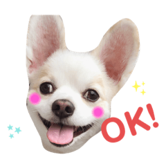 [LINEスタンプ] まこたろぱるの1日