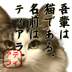 [LINEスタンプ] 吾輩は猫である。名前はティアラ。
