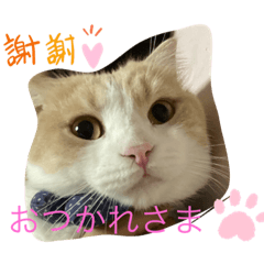 [LINEスタンプ] なっちゃんスタンプ02
