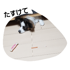 [LINEスタンプ] INU3犬