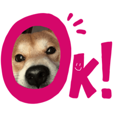 [LINEスタンプ] はしもとけのももたろう。
