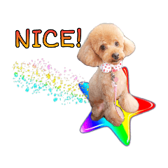 [LINEスタンプ] ねねちゃんの 大冒険！！