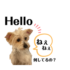 [LINEスタンプ] ゆぃちゃん♡