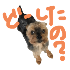 [LINEスタンプ] リアルメル2