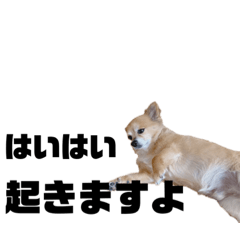 [LINEスタンプ] 恋の一言2