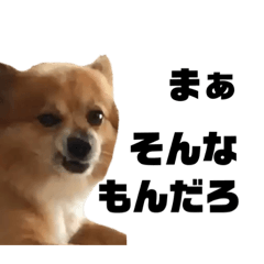 [LINEスタンプ] 恋の一言3