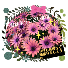 [LINEスタンプ] お花の挨拶スタンプ2