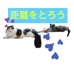 [LINEスタンプ] ロワくんとノルくんの仲良しタイムズ