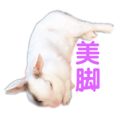 [LINEスタンプ] うさぎのマム