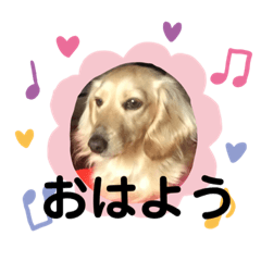 [LINEスタンプ] ミニチュアダックス純恋ちゃんスタンプ2