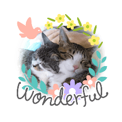 [LINEスタンプ] K's Happy family