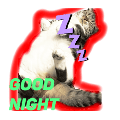 [LINEスタンプ] MASH＆GOD