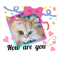 [LINEスタンプ] まめちよじゃ