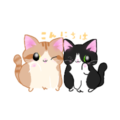 [LINEスタンプ] ねこにかつおぶし