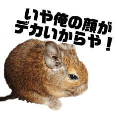 [LINEスタンプ] ハードボイルドデグーもちまる