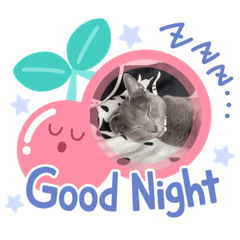 [LINEスタンプ] うちのチャイルド
