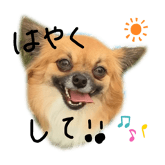 [LINEスタンプ] ぶっくカウ