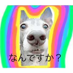 [LINEスタンプ] すべ