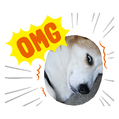 [LINEスタンプ] もけすけ