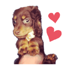 [LINEスタンプ] Mchan's Stamp Part1