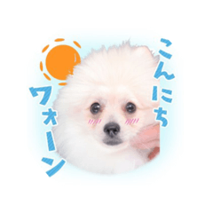 [LINEスタンプ] リオくん♂スタンプ